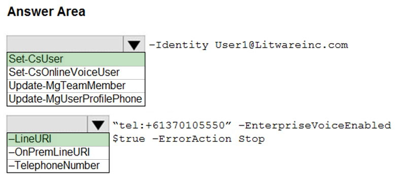 Lựa chọn A