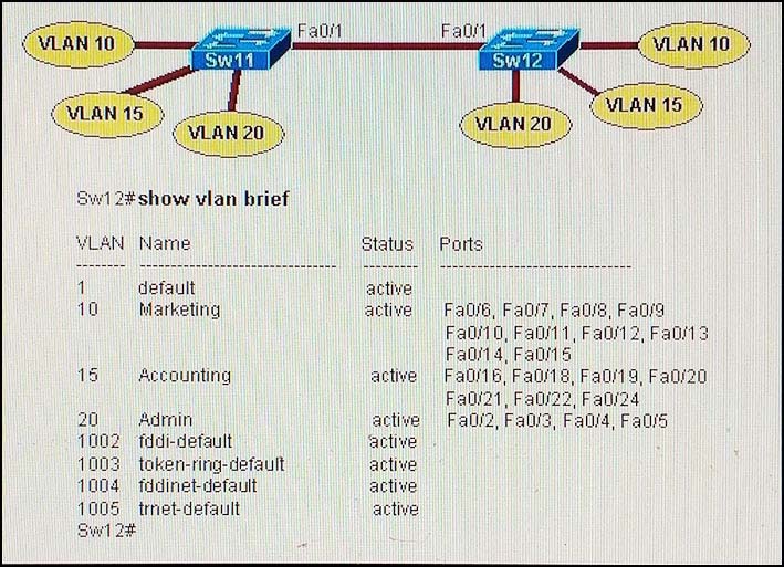 Minh họa câu hỏi