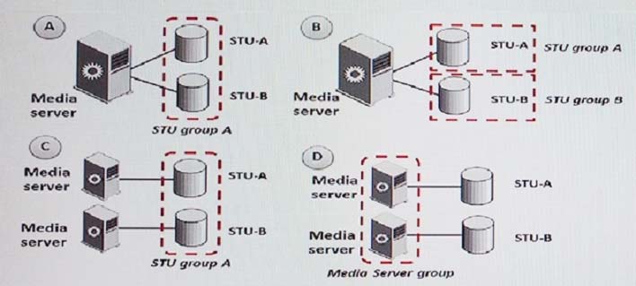 Minh họa câu hỏi