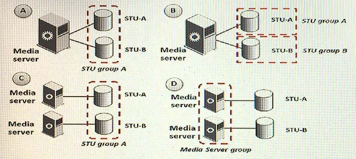 Minh họa câu hỏi
