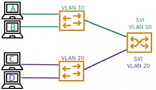 Minh họa câu hỏi