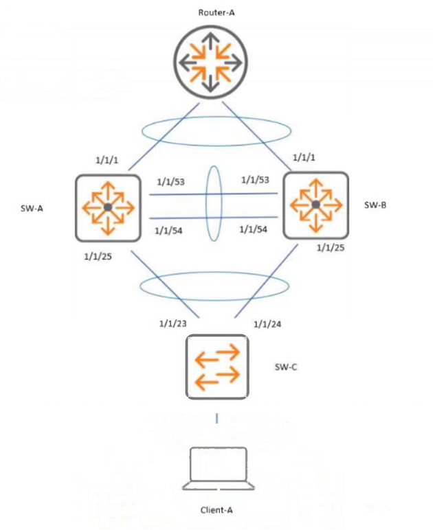 Minh họa câu hỏi