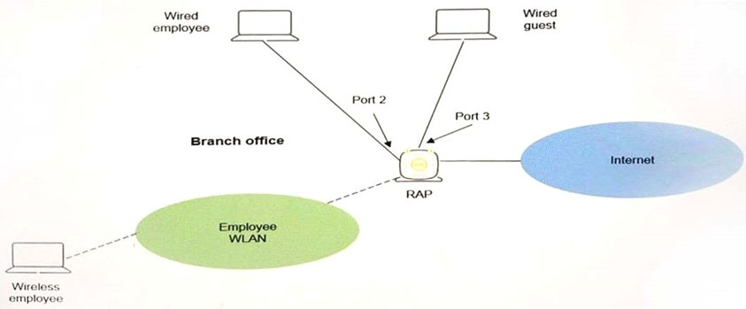 Minh họa câu hỏi