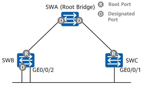 Minh họa câu hỏi