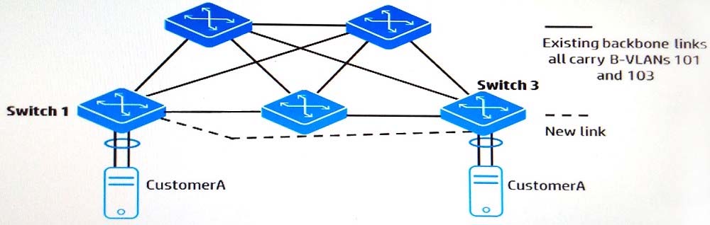 Minh họa câu hỏi