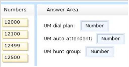 Minh họa câu hỏi