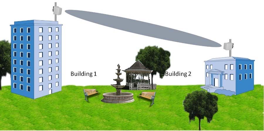 Minh họa câu hỏi
